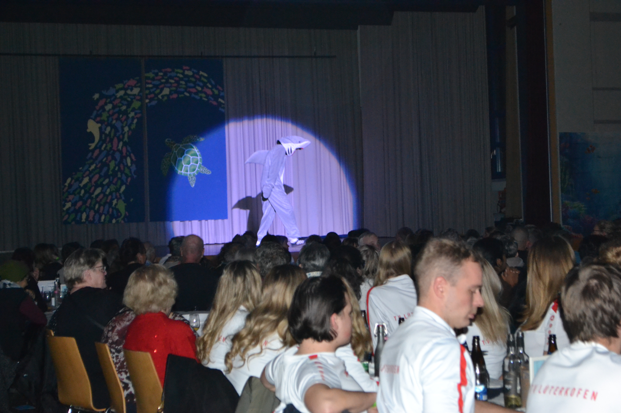 Bild2 (44)